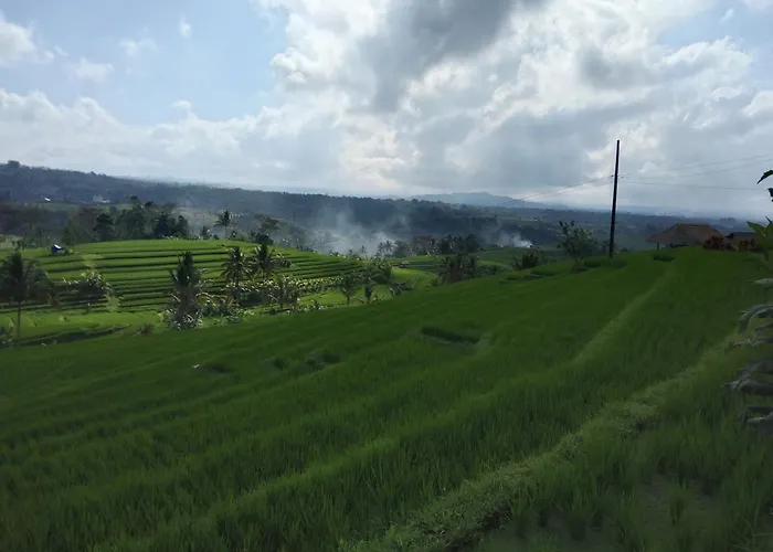 Trinadhi Homestay