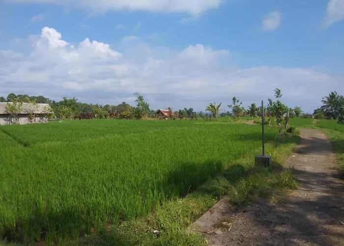 Trinadhi Homestay