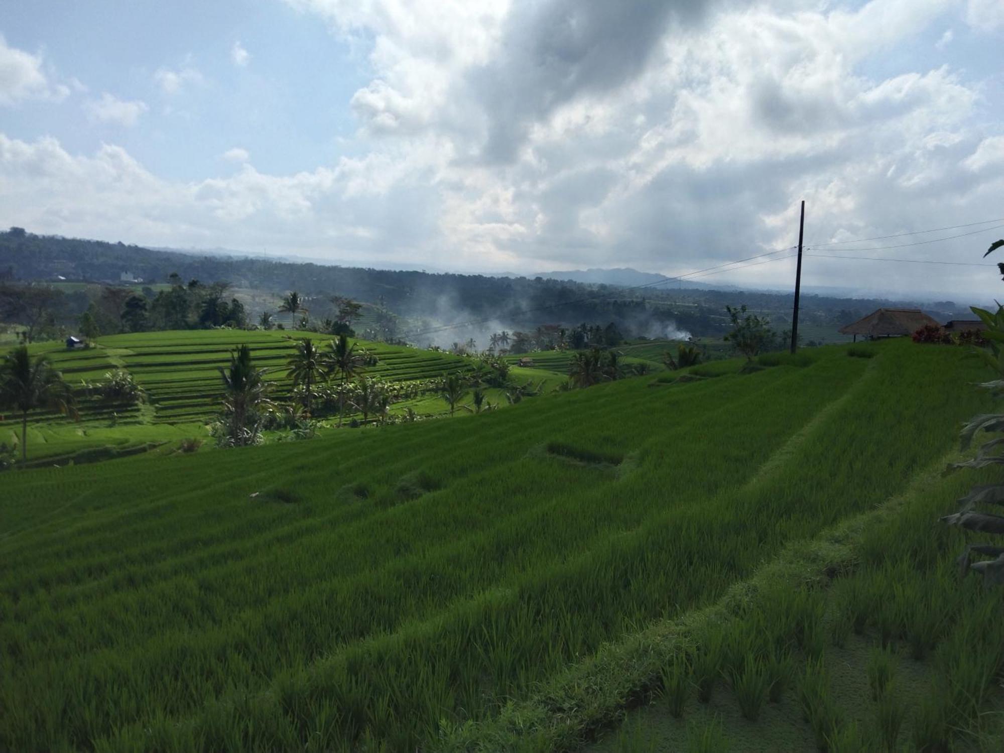Trinadhi Homestay Tabanan (Bali)